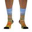 Load image into Gallery viewer, Antelope Valley California Poppy Reserve Eco-Friendly Socks