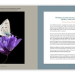 Load image into Gallery viewer, 12 Time Award-Winning, Regular Edition Coffee Table Book (Ship or Free Pick Up) See Deluxe Limited Editions