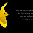 Load image into Gallery viewer, Deluxe Limited Edition Book with Archival Print of Hummingbird