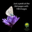 Load image into Gallery viewer, 12 Time Award-Winning, Regular Edition Coffee Table Book (Ship or Free Pick Up) See Deluxe Limited Editions
