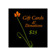 Load image into Gallery viewer, Long stemmed bright orange wind poppy wildflower against a black background with the words Gift cards and donations. $25