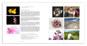 Deluxe Limited Edition Book with Archival Print of Super Bloom Landscape
