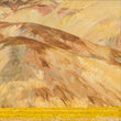 Load image into Gallery viewer, SPECIAL Price Offer! Save $145 on Deluxe Limited Edition Book with Archival Print of Super Bloom Landscape