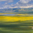 Load image into Gallery viewer, SPECIAL Price Offer! Save $145 on Deluxe Limited Edition Book with Archival Print of Super Bloom Landscape