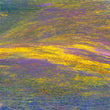 Load image into Gallery viewer, SPECIAL Price Offer! Save $145 on Deluxe Limited Edition Book with Archival Print of Super Bloom Landscape