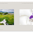 Load image into Gallery viewer, Deluxe 12" x 12" Limited Edition Book in Clamshell Case