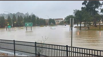 WOW! FLOODING IN MARIN CITY