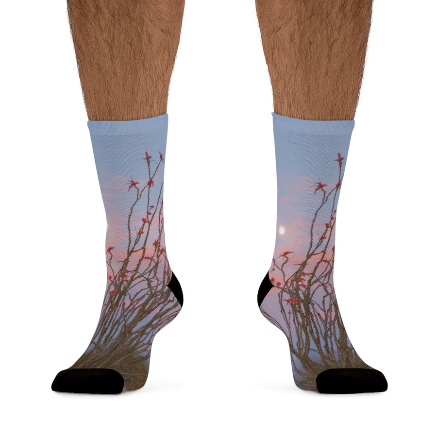 Ocotillo Wildflowers & Full Moon Eco-friendly Socks