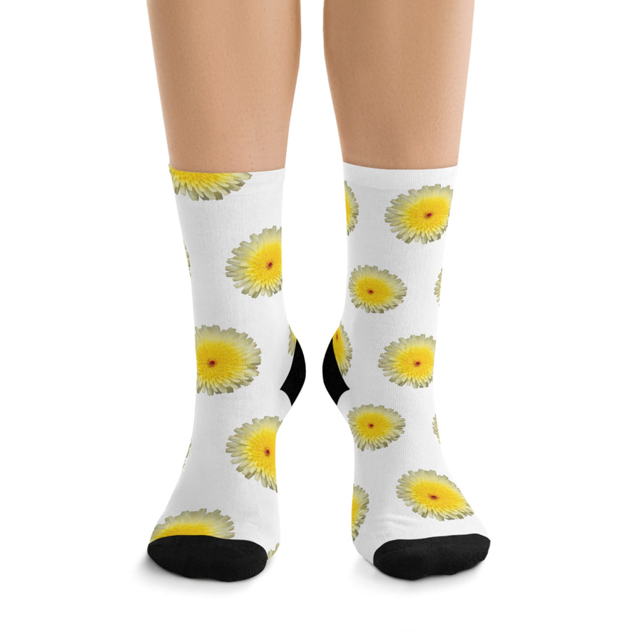 Desert Dandelion Eco-friendly Socks