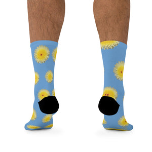 Desert Dandelion Eco-friendly Socks on Blue