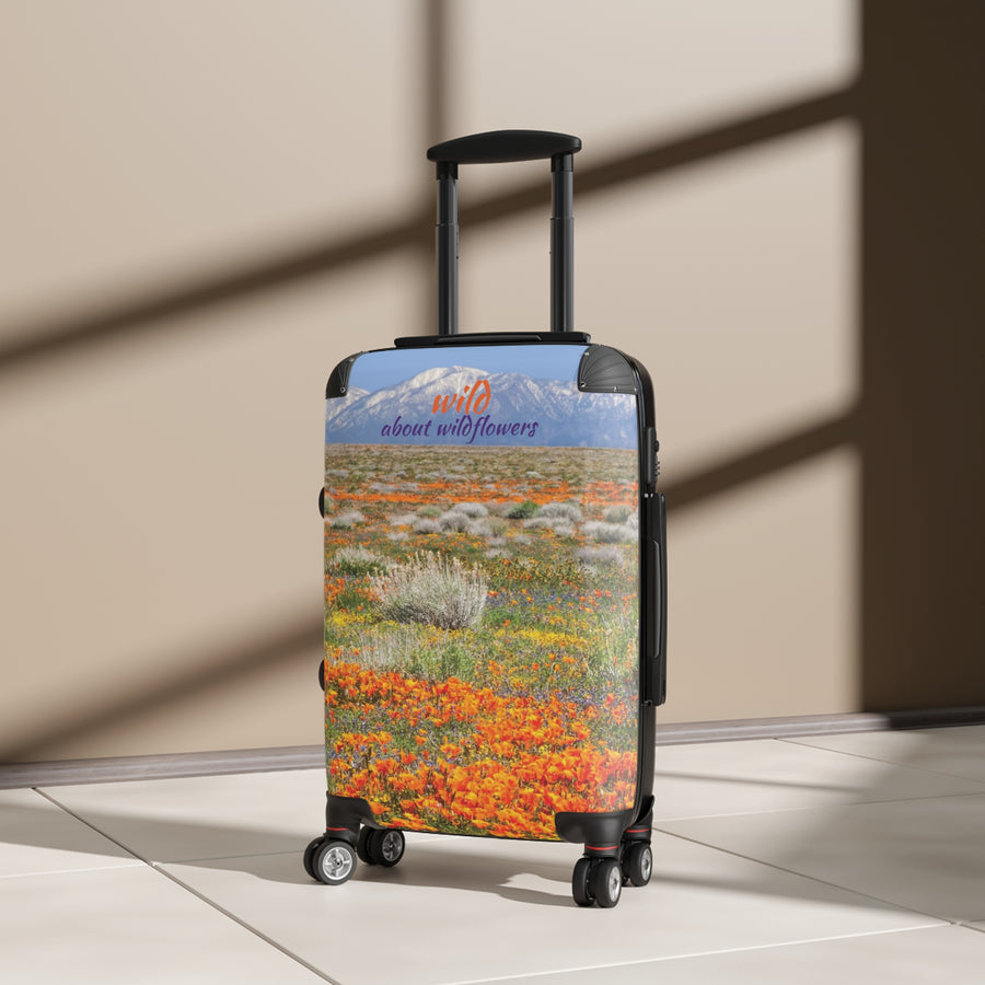 Suitcase - Antelope Valley