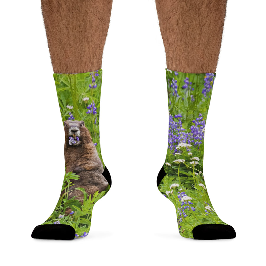 Hooray Marmot Eating Lupine Eco-friendly Socks