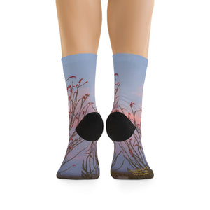 Ocotillo Wildflowers & Full Moon Eco-friendly Socks