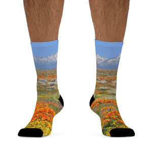 Antelope Valley California Poppy Reserve Eco-Friendly Socks