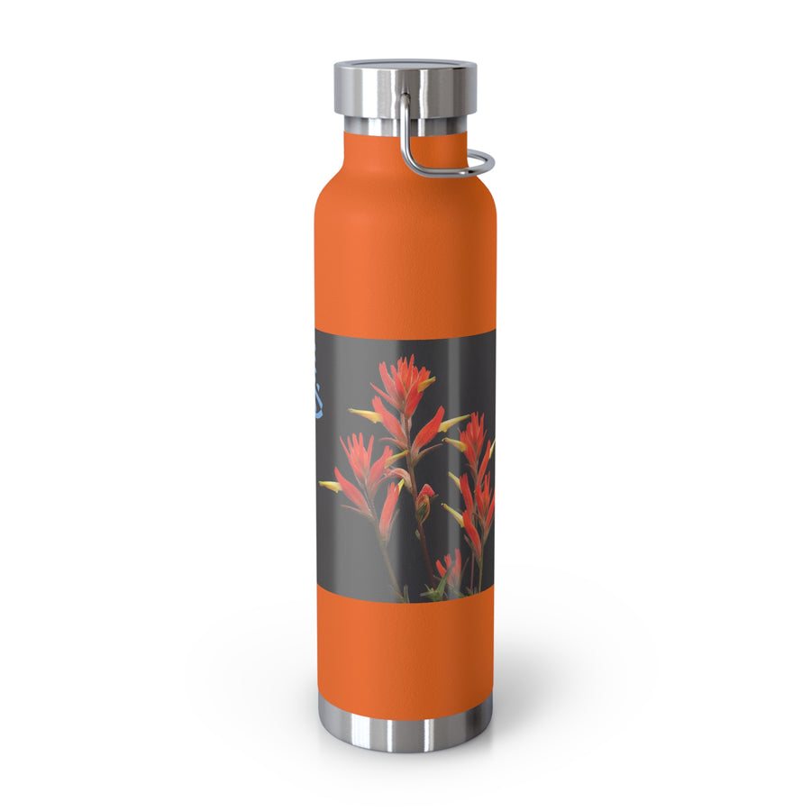 Franciscan Paintbrush Copper Vacuum Insulated Bottle, 22oz