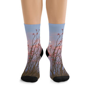 Ocotillo Wildflowers & Full Moon Eco-friendly Socks