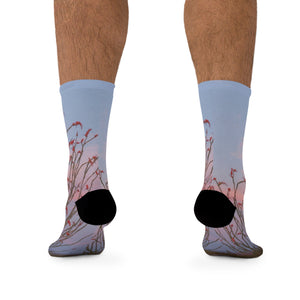 Ocotillo Wildflowers & Full Moon Eco-friendly Socks