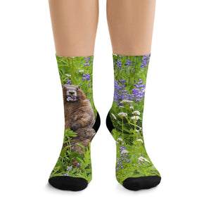 Hooray Marmot Eating Lupine Eco-friendly Socks