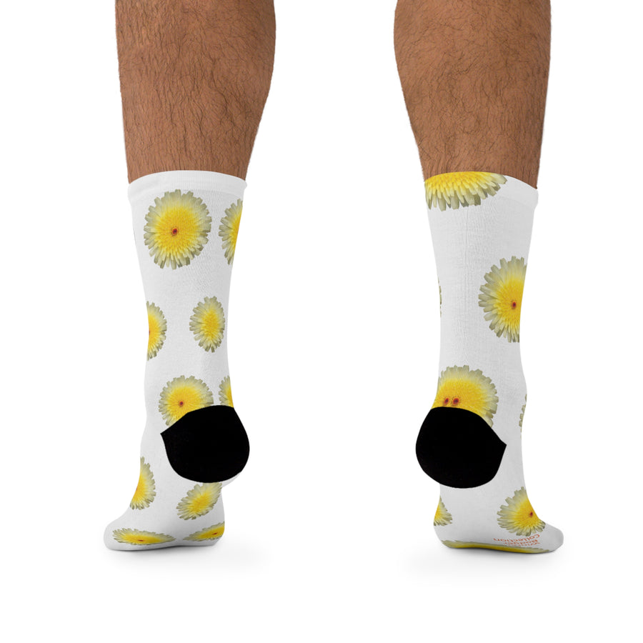 Desert Dandelion Eco-friendly Socks