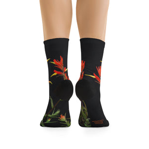 Franciscan Paintbrush Wildflowers Eco-Friendly Socks