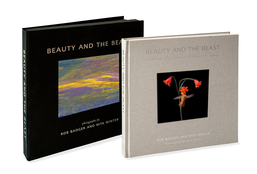 Deluxe Limited Edition Book with Archival Print of Hummingbird