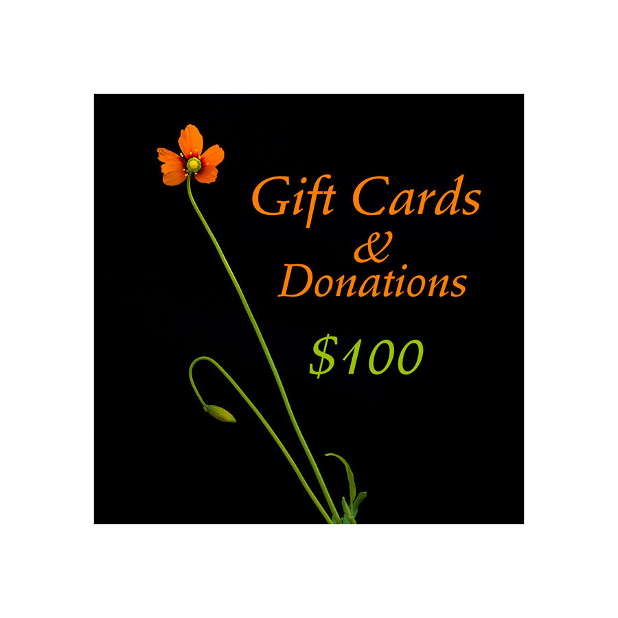 Long stemmed bright orange wind poppy wildflower against a black background with the words Gift cards and donations. $100