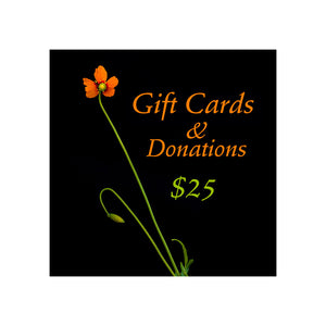 Long stemmed bright orange wind poppy wildflower against a black background with the words Gift cards and donations. $25