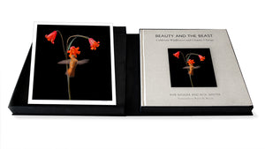 Deluxe Limited Edition Book with Archival Print of Hummingbird